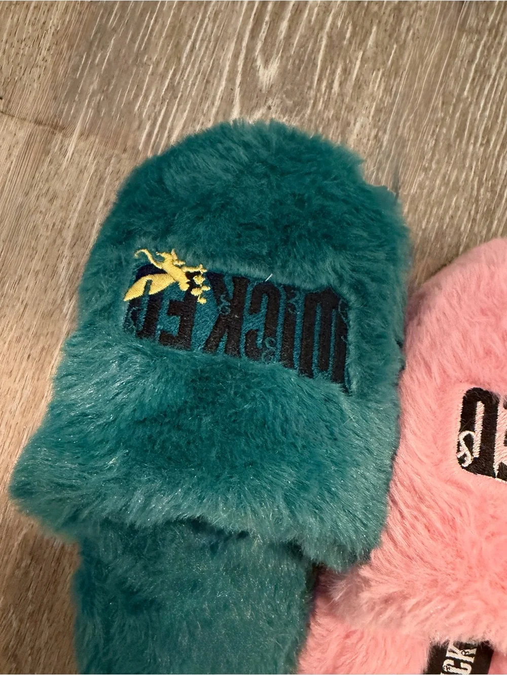 Grounded Wicked Movie Slippers Youth Sz Small 11/12